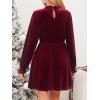 CUPSHE Women’s Fall Dresses 2025 High Neck Long Sleeve Mini Party Ruffled Casual Tunic Velvet Wedding Guest Dress(Burgundy)