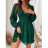 CUPSHE Women’s Lace Mini Dress Long Sleeve Floral Print A Line Dress for Party Bodycon Dress(Green)