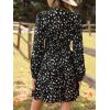 CUPSHE Women’s Fall Dresses Wild Abstract Plunging V Neck Long Sleeve Elastic Waist Casual Mini Dress(Black)
